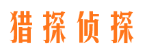 桐城出轨调查